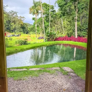 area-externa10 Grande